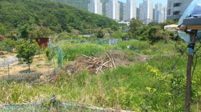 경상남도 거제시 일운면 소동리 338-7 외 4필지 답 경매 사진 11