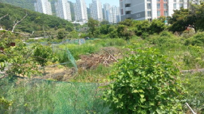 경상남도 거제시 일운면 소동리 338-7 외 4필지 답 경매 사진 12