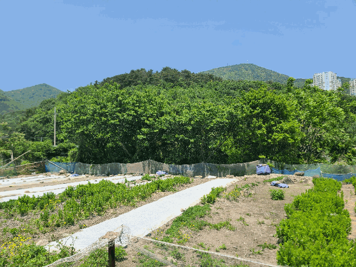 경상남도 거제시 일운면 소동리 338-7 외 4필지 답 경매 사진 13