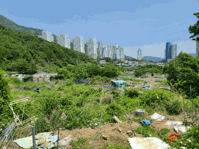 경상남도 거제시 일운면 소동리 338-7 외 4필지 답 경매 사진 14