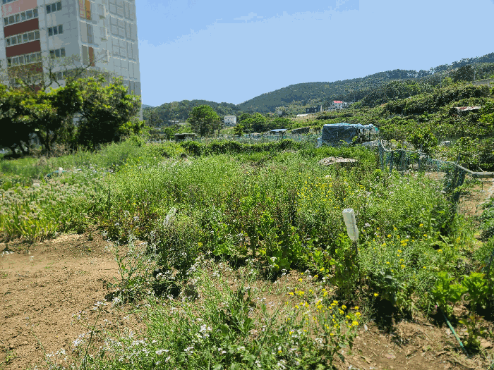 경상남도 거제시 일운면 소동리 338-7 외 4필지 답 경매 사진 15
