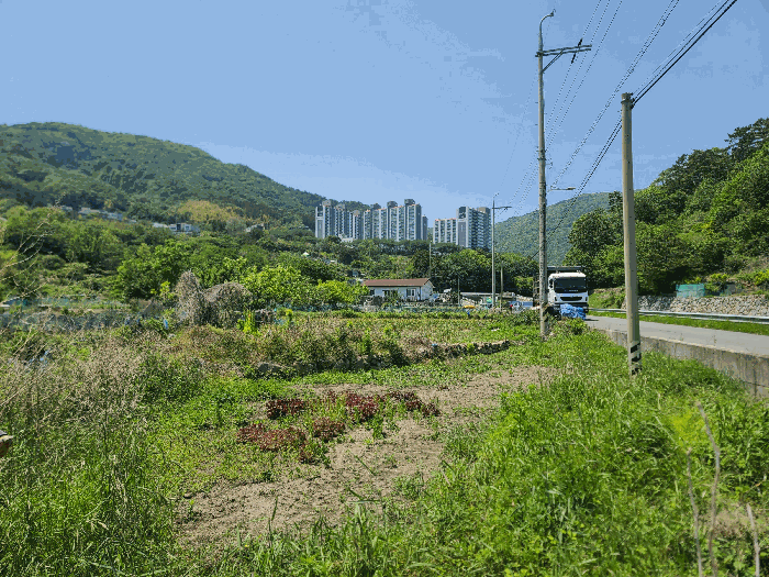 경상남도 거제시 일운면 소동리 338-7 외 4필지 답 경매 사진 17