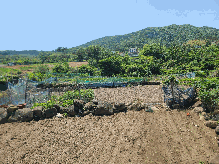 경상남도 거제시 일운면 소동리 338-7 외 4필지 답 경매 사진 18