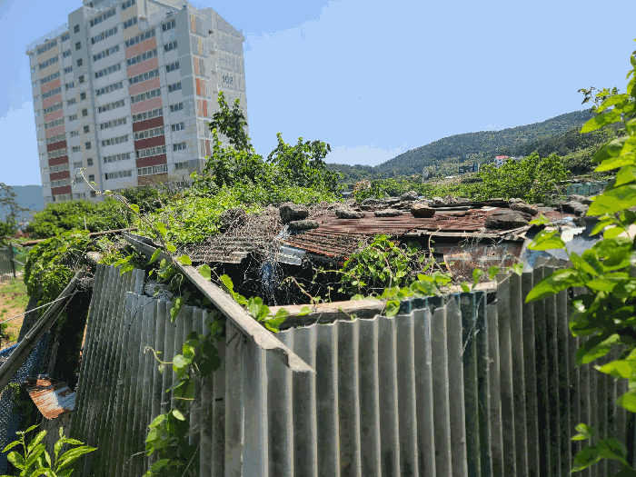 경상남도 거제시 일운면 소동리 338-7 외 4필지 답 경매 사진 19