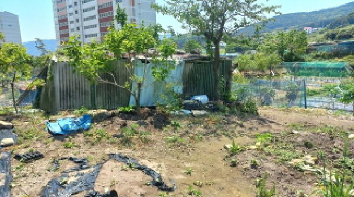경상남도 거제시 일운면 소동리 338-7 외 4필지 답 경매 사진 3