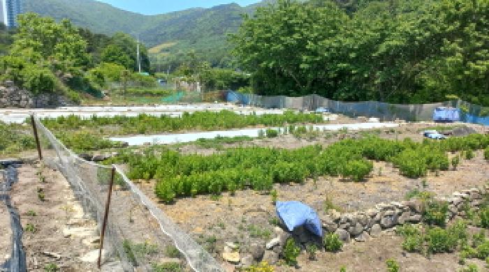 경상남도 거제시 일운면 소동리 338-7 외 4필지 답 경매 사진 5