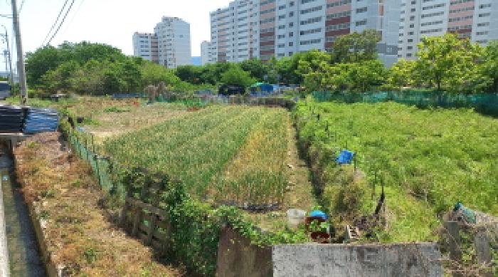 경상남도 거제시 일운면 소동리 338-7 외 4필지 답 경매 사진 10