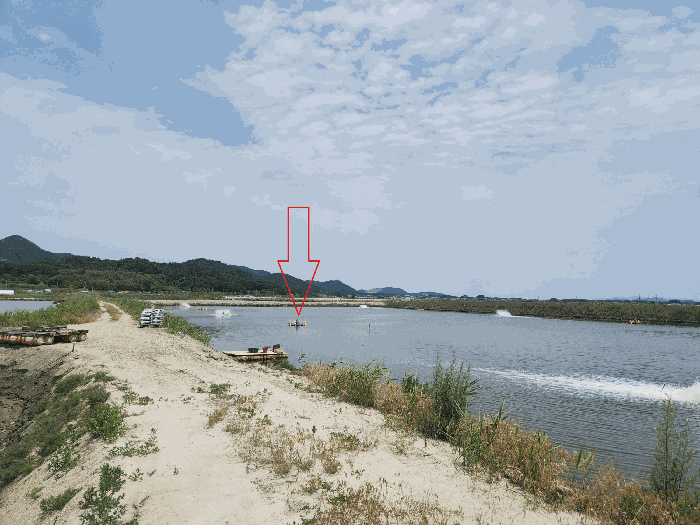 전북특별자치도 부안군 진서면 진서리 산149-90 외 2필지 임야 경매 사진 6