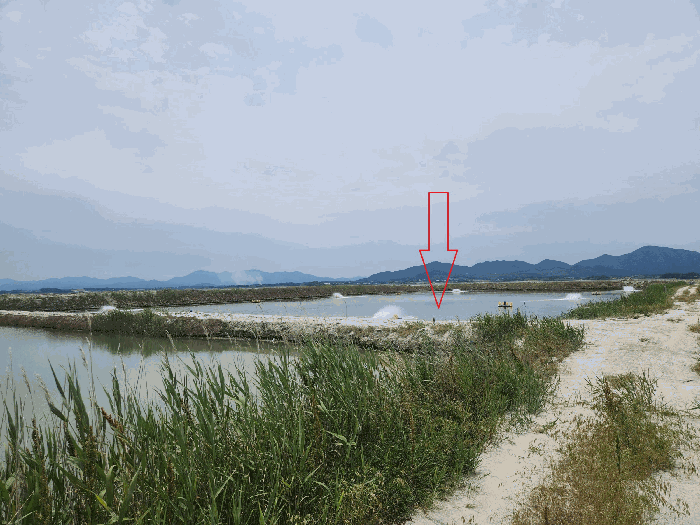 전북특별자치도 부안군 진서면 진서리 산149-90 외 2필지 임야 경매 사진 10