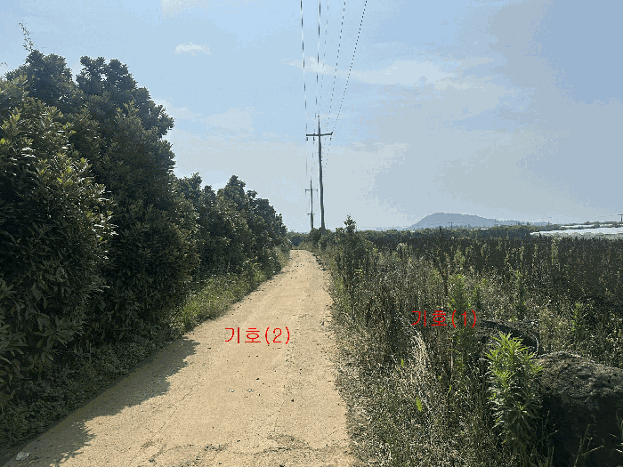 제주특별자치도 제주시 한경면 조수리 3894-1 외 1필지 전 경매 사진 7