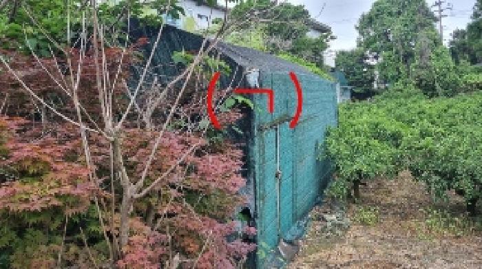 제주특별자치도 서귀포시 동홍동 808-3 외 1필지 과수원 경매 사진 5