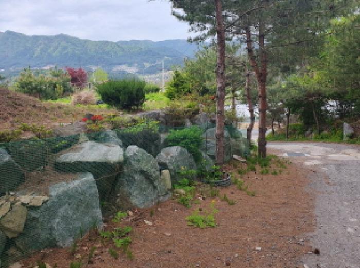 경기도 가평군 상면 임초리 106 외 2필지 임야 경매 사진 3