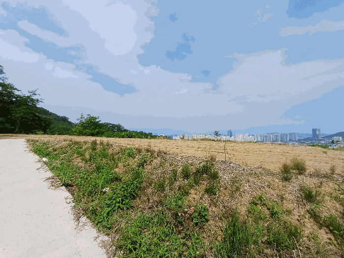 경상북도 김천시 남면 운남리 96 전 경매 사진 5