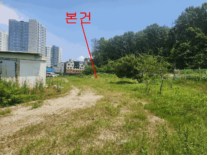 경기도 김포시 양촌읍 양곡리 392-5 전답 경매 사진 21
