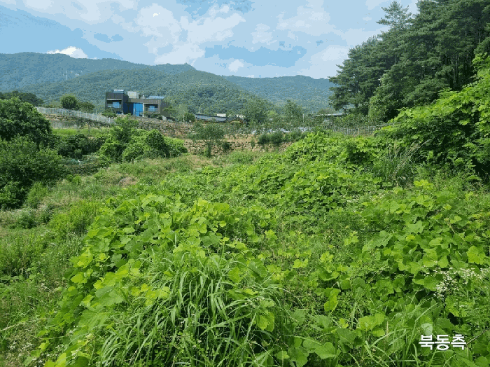 경상북도 칠곡군 동명면 남원리 137 전 경매 사진 13