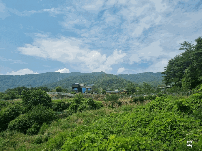 경상북도 칠곡군 동명면 남원리 137 전 경매 사진 14
