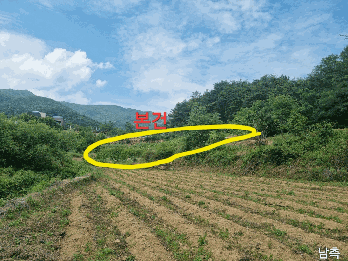 경상북도 칠곡군 동명면 남원리 137 전 경매 사진 15