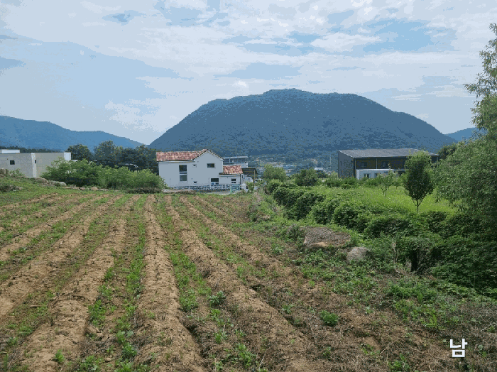 경상북도 칠곡군 동명면 남원리 137 전 경매 사진 16