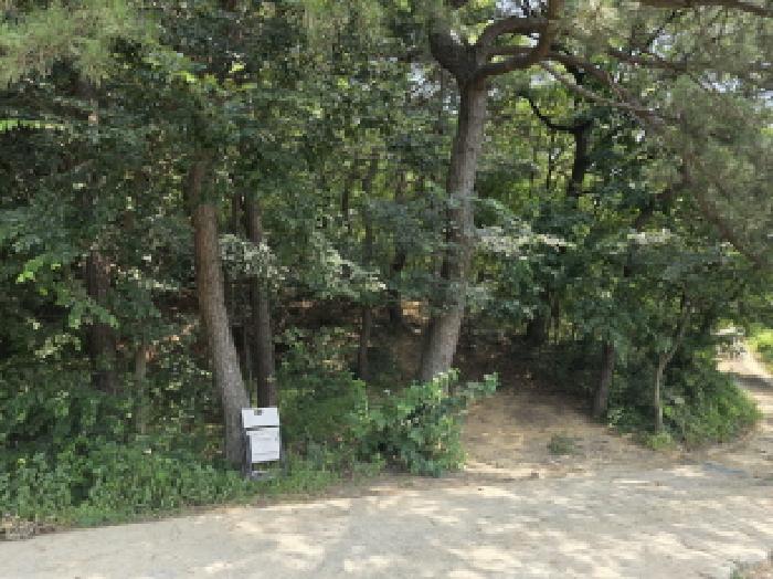 대구광역시 수성구 성동 246-2 전 경매 사진 6