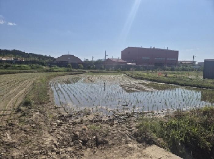 경상북도 포항시 남구 오천읍 세계리 642-2 답 경매 사진 13