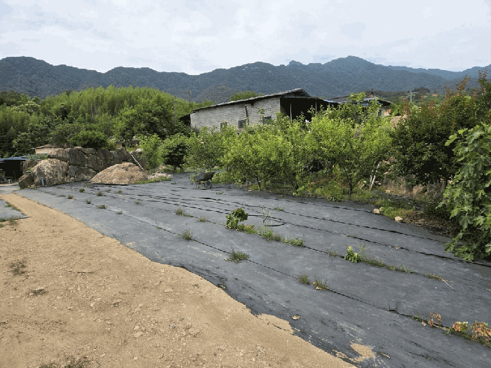 경상남도 하동군 악양면 입석리 570 임야 경매 사진 19