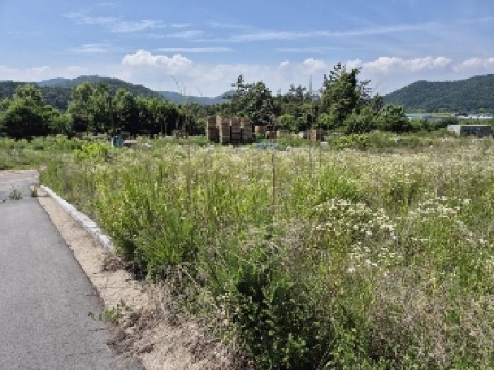 전라남도 나주시 남평읍 오계리 1279 외 9필지 대지 경매 사진 10