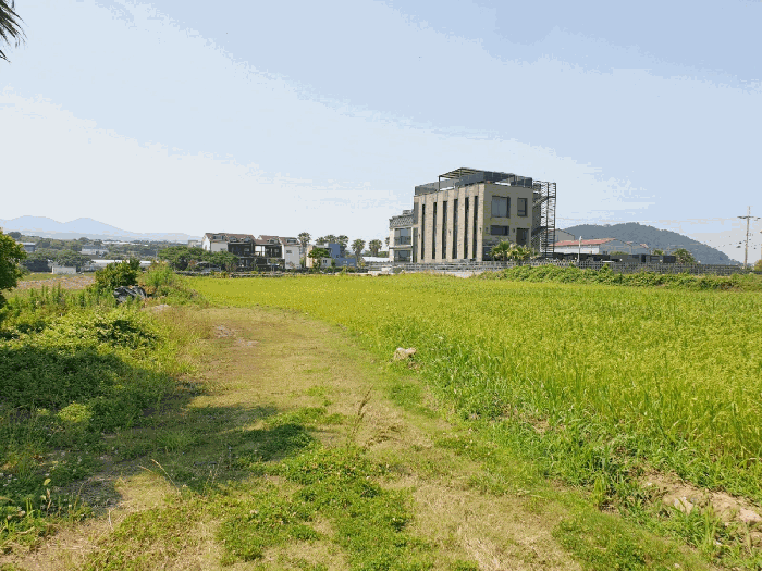 제주특별자치도 제주시 애월읍 하귀2리 2871 외 2필지 전 경매 사진 7