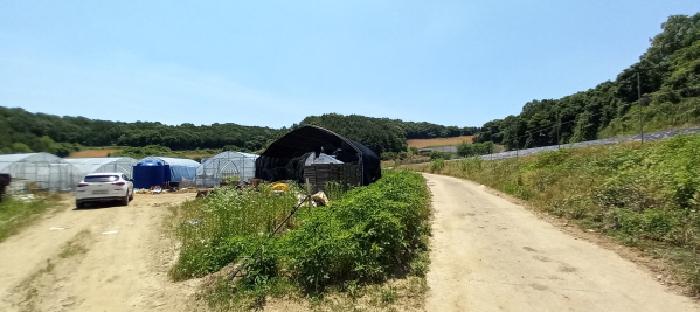 경기도 연천군 왕징면 강내리 771 외 2필지 답 경매 사진 1