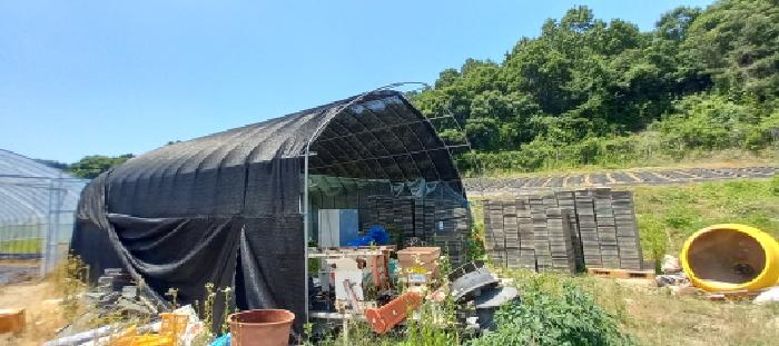 경기도 연천군 왕징면 강내리 771 외 2필지 답 경매 사진 2