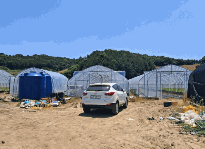 경기도 연천군 왕징면 강내리 771 외 2필지 답 경매 사진 20