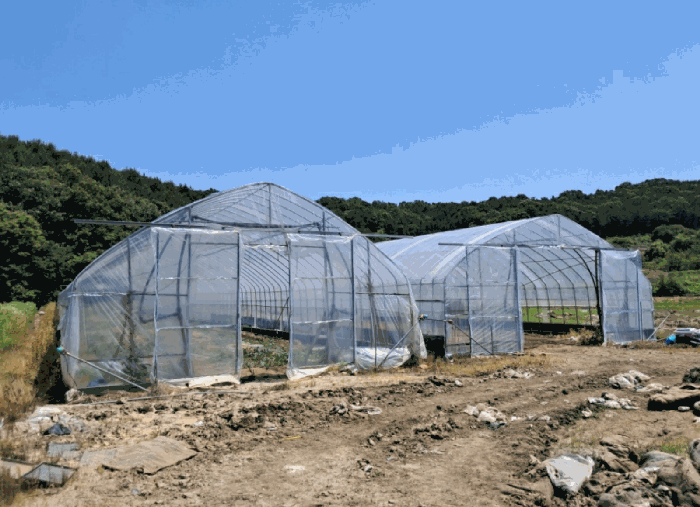 경기도 연천군 왕징면 강내리 771 외 2필지 답 경매 사진 22