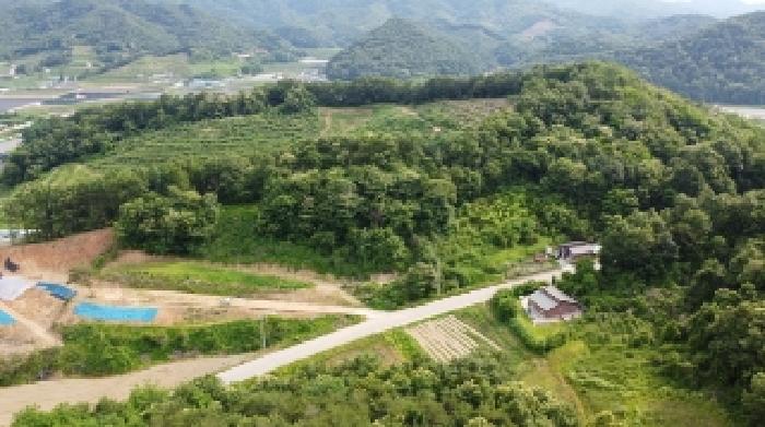 충청북도 괴산군 불정면 웅동리 산41-5 임야 경매 사진 26