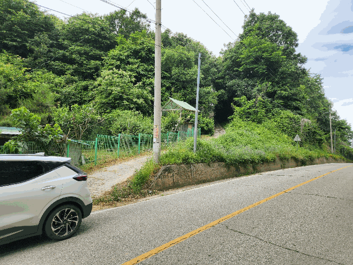 충청북도 괴산군 불정면 웅동리 산41-5 임야 경매 사진 28