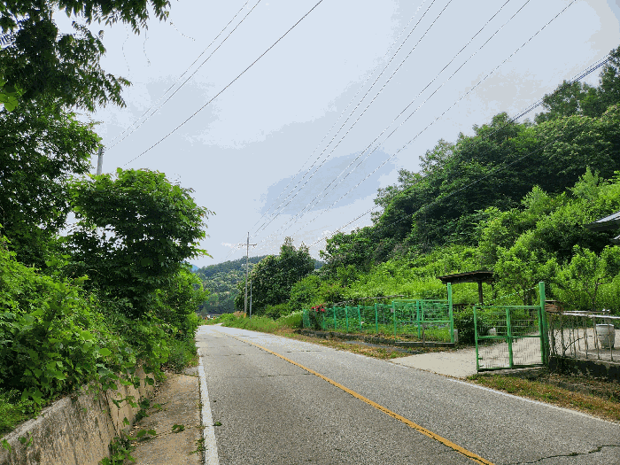 충청북도 괴산군 불정면 웅동리 산41-5 임야 경매 사진 29