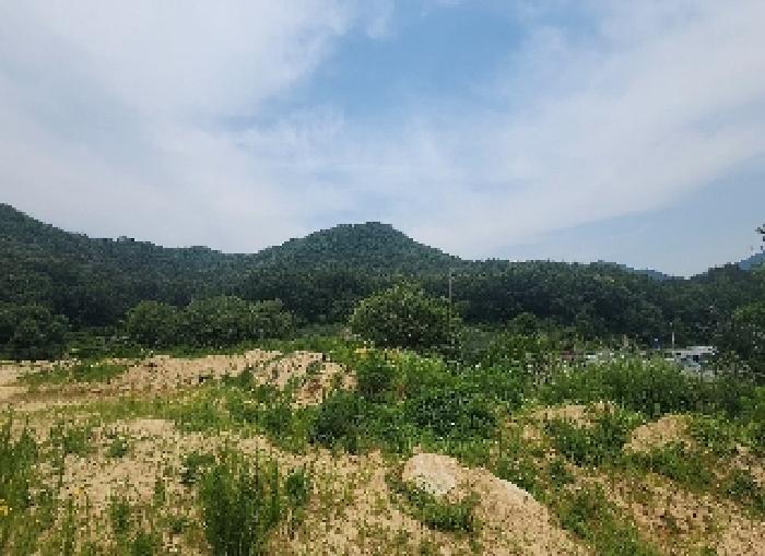 충청북도 영동군 추풍령면 죽전리 842-1 외 11필지 임야 경매 사진 1