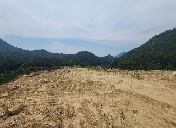 충청북도 영동군 추풍령면 죽전리 842-1 외 11필지 임야 경매 사진 4