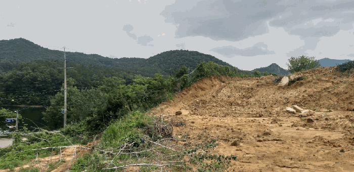 충청북도 영동군 추풍령면 죽전리 842-1 외 11필지 임야 경매 사진 32