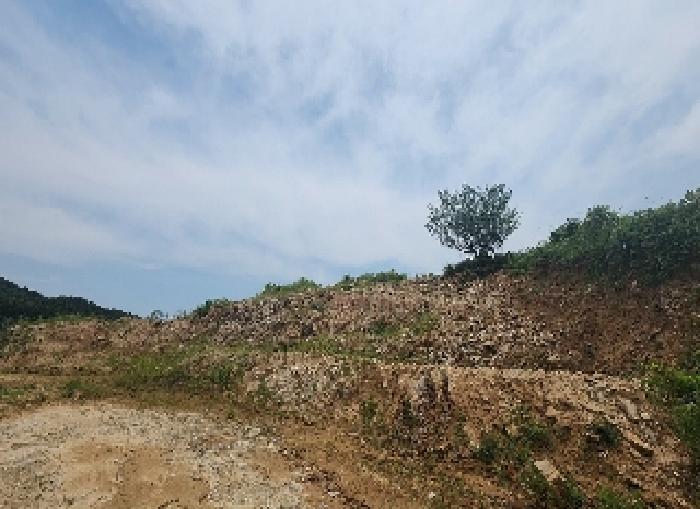 충청북도 영동군 추풍령면 죽전리 842-1 외 11필지 임야 경매 사진 7
