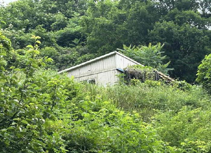 충청북도 옥천군 군북면 증약리 산18-3 외 8필지 임야 경매 사진 5