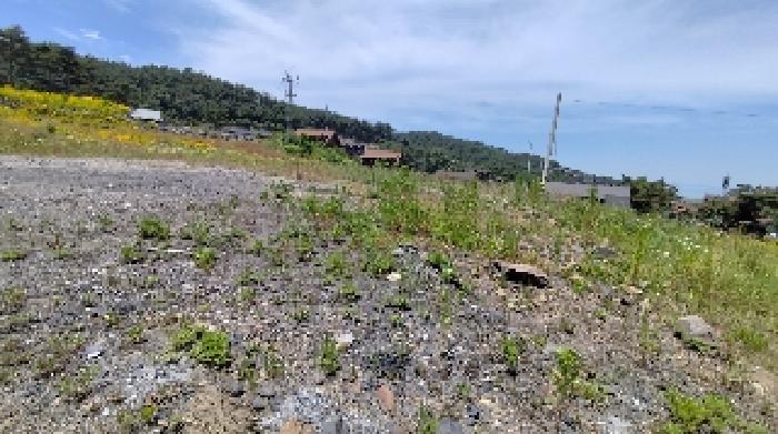 충청남도 보령시 신흑동 558-35 외 13필지 근린생활시설 경매 사진 13