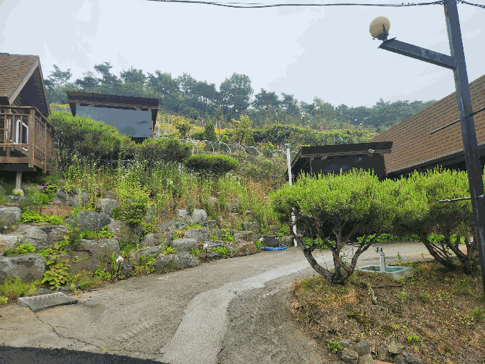 충청남도 보령시 신흑동 558-35 외 13필지 근린생활시설 경매 사진 63