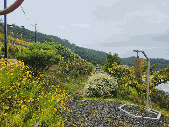 충청남도 보령시 신흑동 558-35 외 13필지 근린생활시설 경매 사진 70