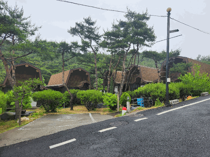 충청남도 보령시 신흑동 558-35 외 13필지 근린생활시설 경매 사진 74