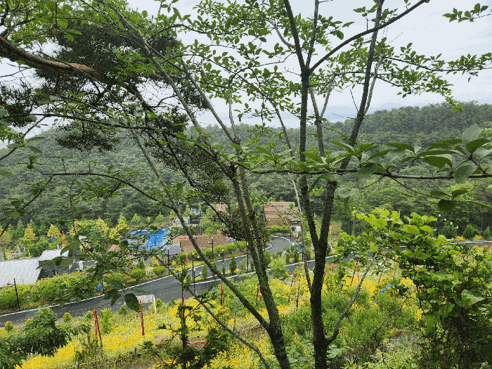 충청남도 보령시 신흑동 558-35 외 13필지 근린생활시설 경매 사진 75