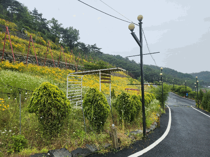 충청남도 보령시 신흑동 558-35 외 13필지 근린생활시설 경매 사진 80