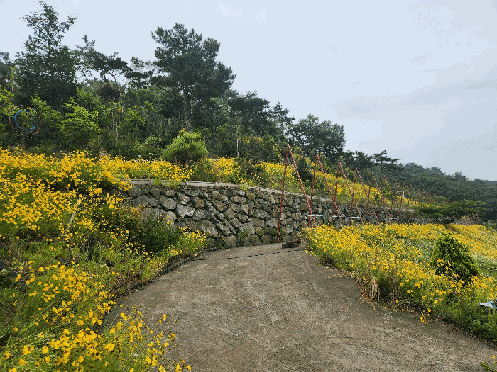 충청남도 보령시 신흑동 558-35 외 13필지 근린생활시설 경매 사진 89