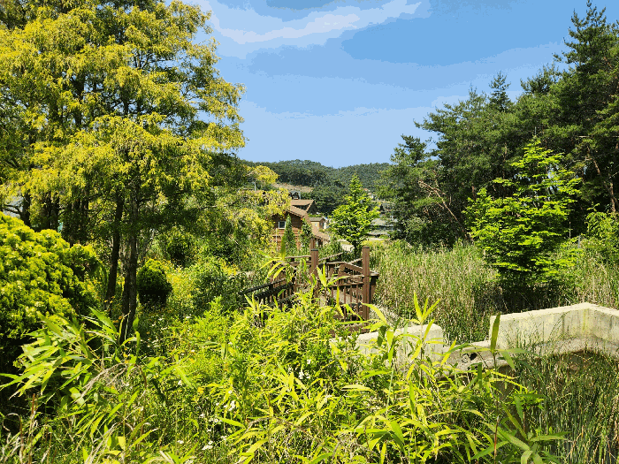 충청남도 보령시 신흑동 558-35 외 13필지 근린생활시설 경매 사진 90