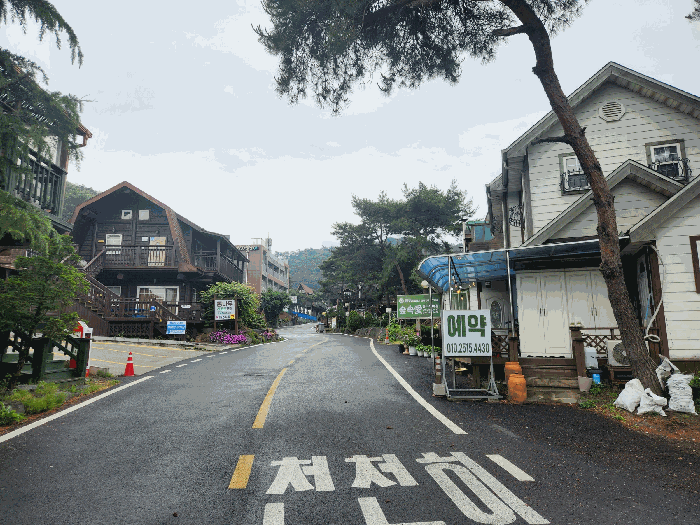 충청남도 보령시 신흑동 558-35 외 13필지 근린생활시설 경매 사진 96