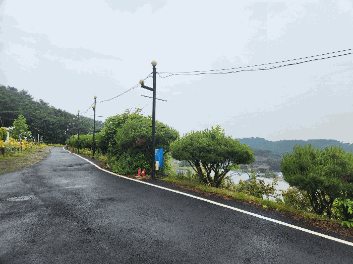 충청남도 보령시 신흑동 558-35 외 13필지 근린생활시설 경매 사진 97