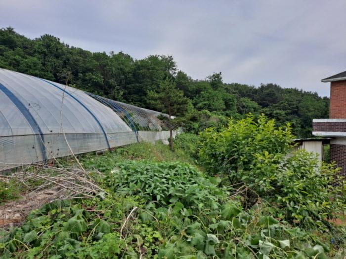충청남도 당진시 송악읍 월곡리 353-18 외 3필지 전 경매 사진 26